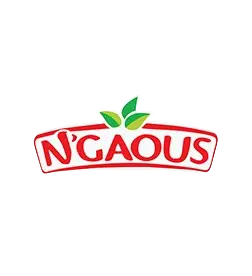 NGAOUS Logo